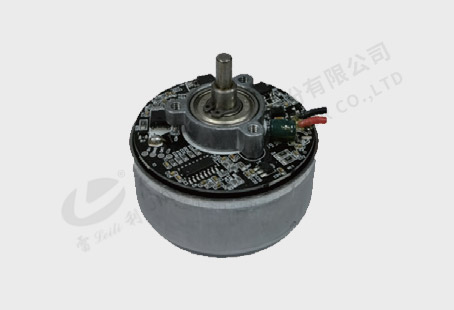 Outer Rotor Brushless Motor 30WS